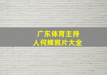 广东体育主持人何辉照片大全