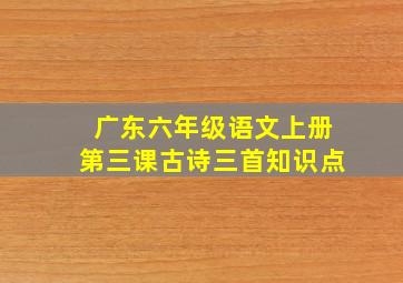 广东六年级语文上册第三课古诗三首知识点