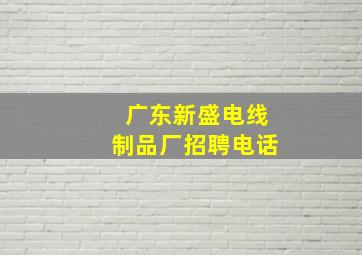 广东新盛电线制品厂招聘电话