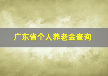 广东省个人养老金查询