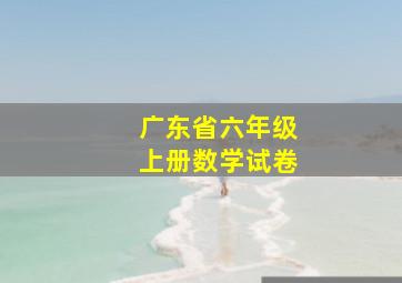 广东省六年级上册数学试卷