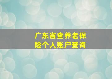 广东省查养老保险个人账户查询