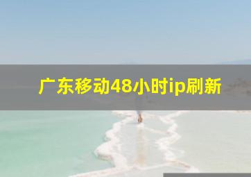 广东移动48小时ip刷新