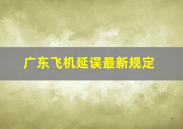 广东飞机延误最新规定