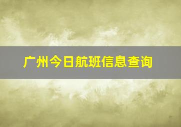 广州今日航班信息查询