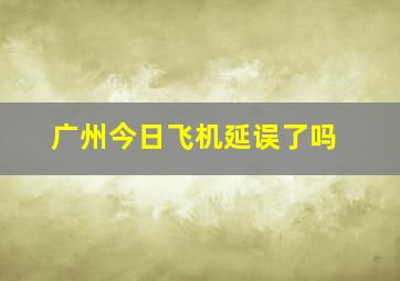 广州今日飞机延误了吗