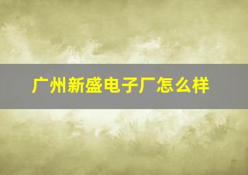 广州新盛电子厂怎么样