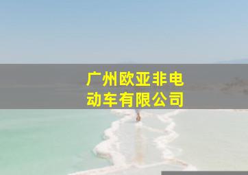 广州欧亚非电动车有限公司