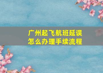 广州起飞航班延误怎么办理手续流程