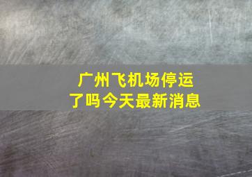 广州飞机场停运了吗今天最新消息