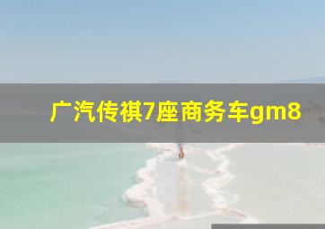 广汽传祺7座商务车gm8