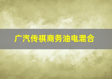 广汽传祺商务油电混合