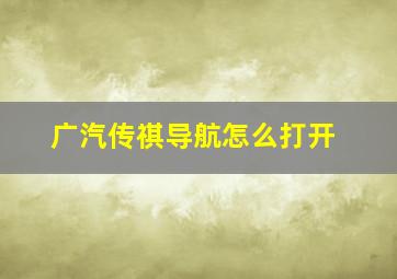 广汽传祺导航怎么打开