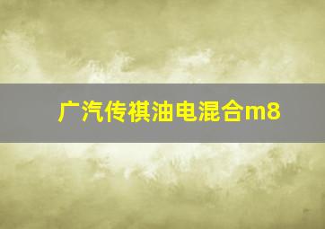 广汽传祺油电混合m8