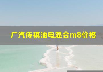 广汽传祺油电混合m8价格