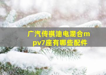 广汽传祺油电混合mpv7座有哪些配件