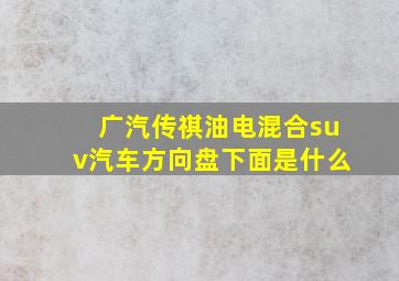 广汽传祺油电混合suv汽车方向盘下面是什么