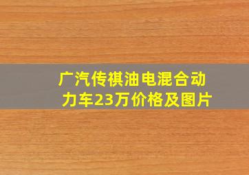 广汽传祺油电混合动力车23万价格及图片