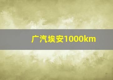 广汽埃安1000km