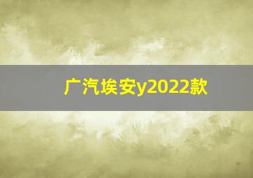 广汽埃安y2022款