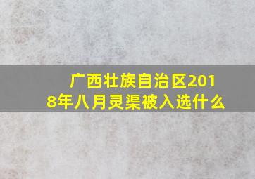 广西壮族自治区2018年八月灵渠被入选什么