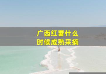 广西红薯什么时候成熟采摘