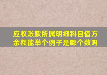 应收账款所属明细科目借方余额能举个例子是哪个数吗