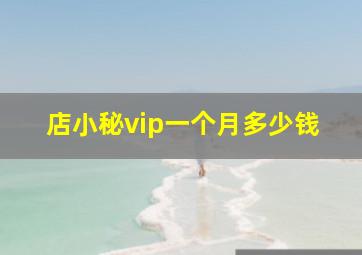 店小秘vip一个月多少钱