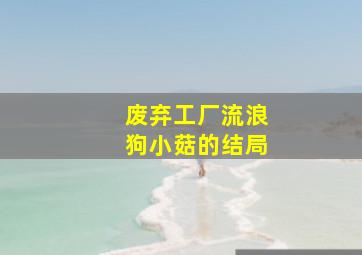 废弃工厂流浪狗小菇的结局