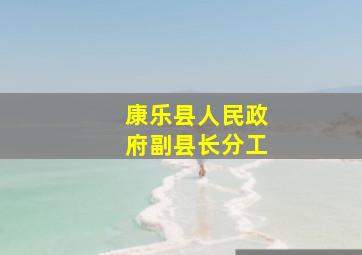 康乐县人民政府副县长分工