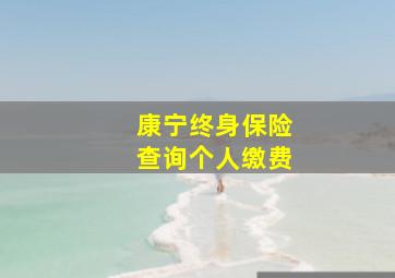 康宁终身保险查询个人缴费