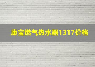 康宝燃气热水器1317价格