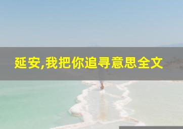 延安,我把你追寻意思全文