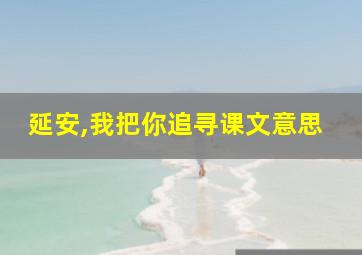 延安,我把你追寻课文意思