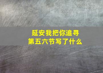 延安我把你追寻第五六节写了什么