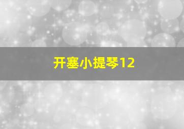 开塞小提琴12