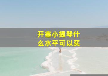 开塞小提琴什么水平可以买