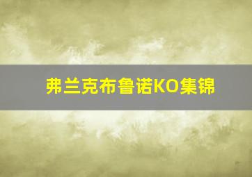 弗兰克布鲁诺KO集锦