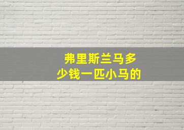 弗里斯兰马多少钱一匹小马的