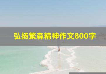 弘扬繁森精神作文800字