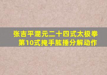 张吉平混元二十四式太极拳第10式掩手肱捶分解动作