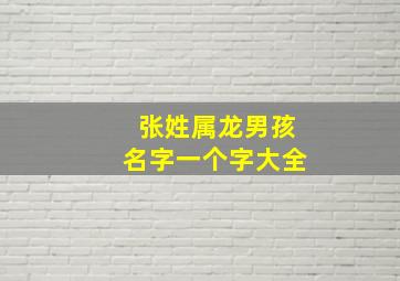 张姓属龙男孩名字一个字大全