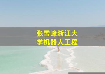 张雪峰浙江大学机器人工程