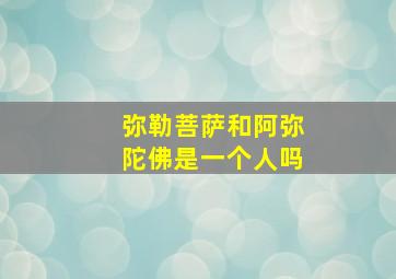 弥勒菩萨和阿弥陀佛是一个人吗