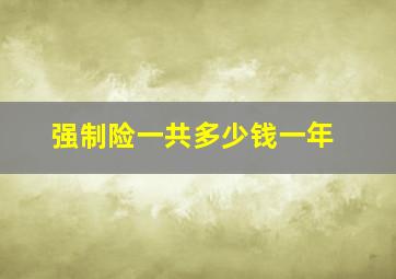 强制险一共多少钱一年