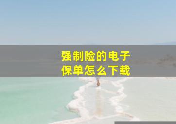 强制险的电子保单怎么下载