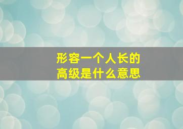 形容一个人长的高级是什么意思