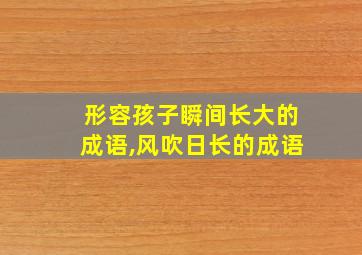 形容孩子瞬间长大的成语,风吹日长的成语