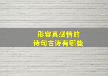 形容真感情的诗句古诗有哪些