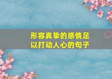 形容真挚的感情足以打动人心的句子